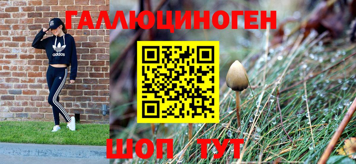 Псилоцибиновые грибы Psilocybine cubensis  Вход с VPN  Асбест 